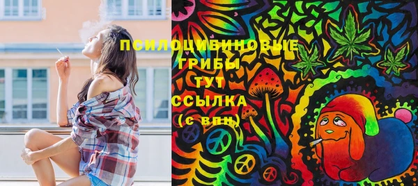 mix Аркадак