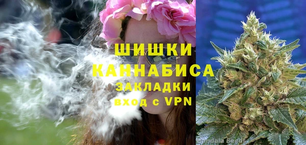тгк Арсеньев