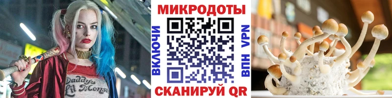 Псилоцибиновые грибы прущие грибы mega зеркало Гороховец